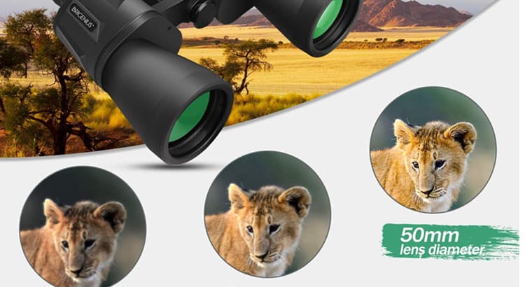Why BRIGENIUS 10x50 Binoculars Are Your Perfect Travel Partner?