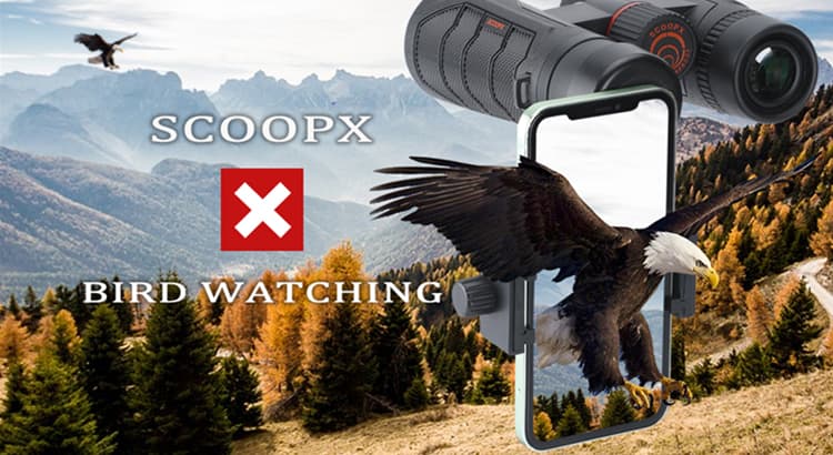 Why Prefer Scoopx Binoculars To Other Brands? Scoopx Binoculars Review