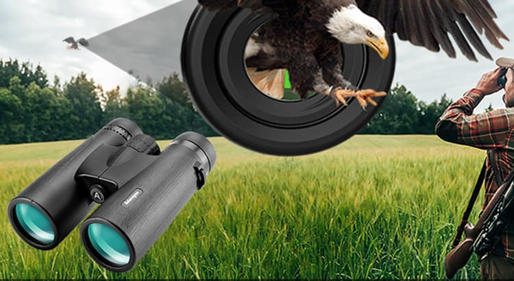 Do You Want To Know About The 7 Best Telescope For Bird Watching?