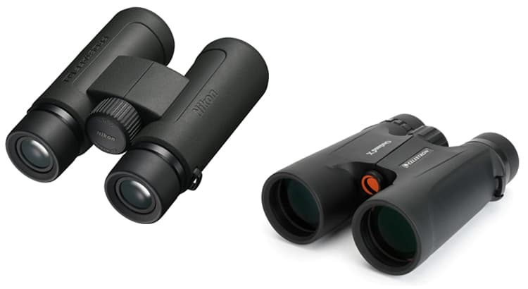 Are 8 or 10 Power Binoculars Better for Birding
