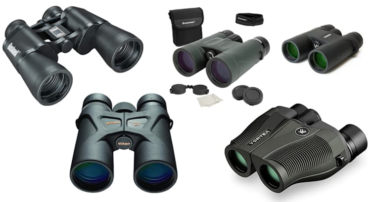 What Are the Best Entry-Level Birding Binoculars
