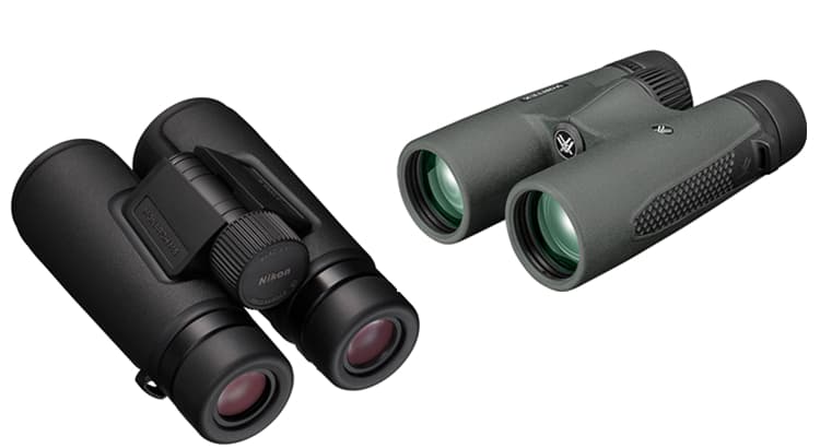 What Magnification Binoculars are Best for Bird Watching